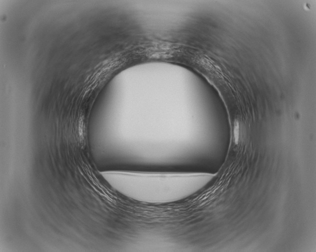 X0000087371444200704200806