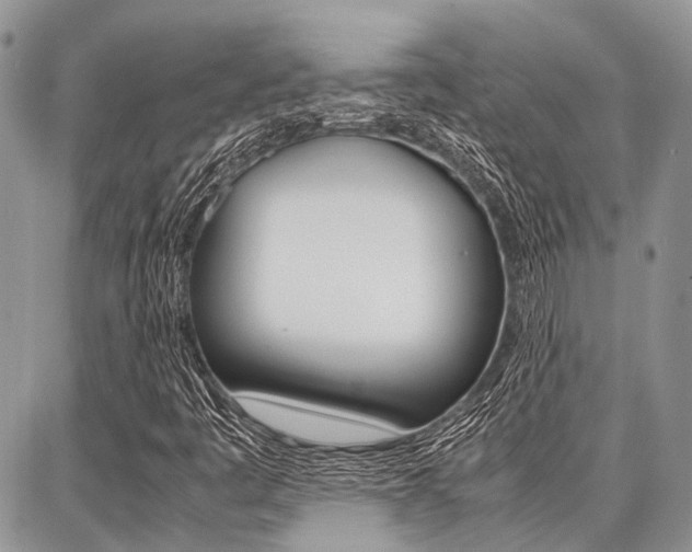 X0000087371445200704200806