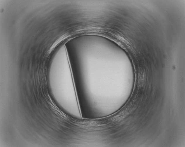 X0000087371450200704200806
