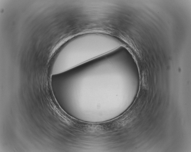 X0000087371452200704200806
