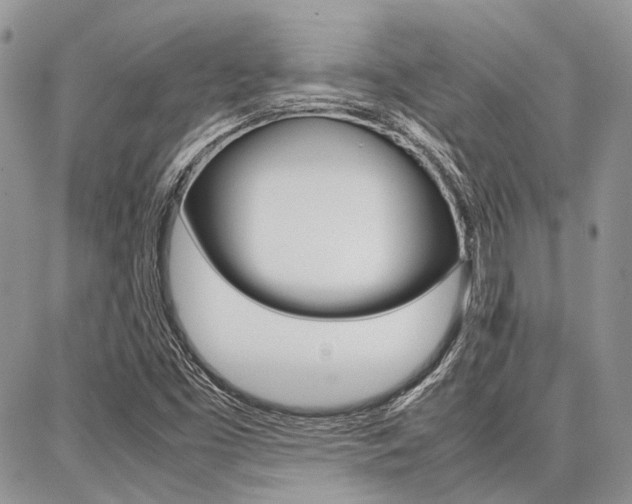 X0000087371453200704200806