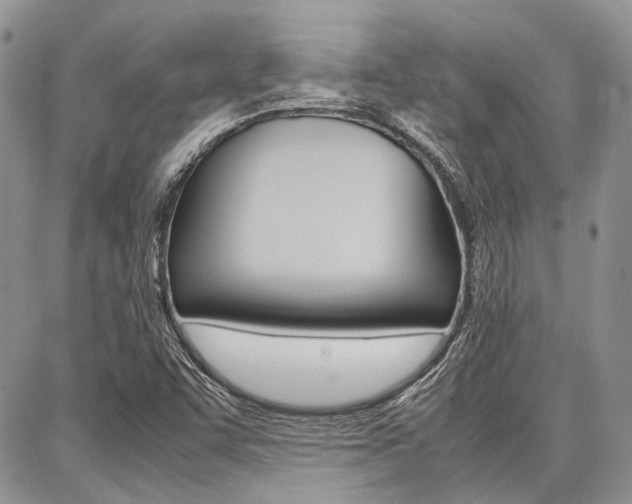 X0000087371455200704200805