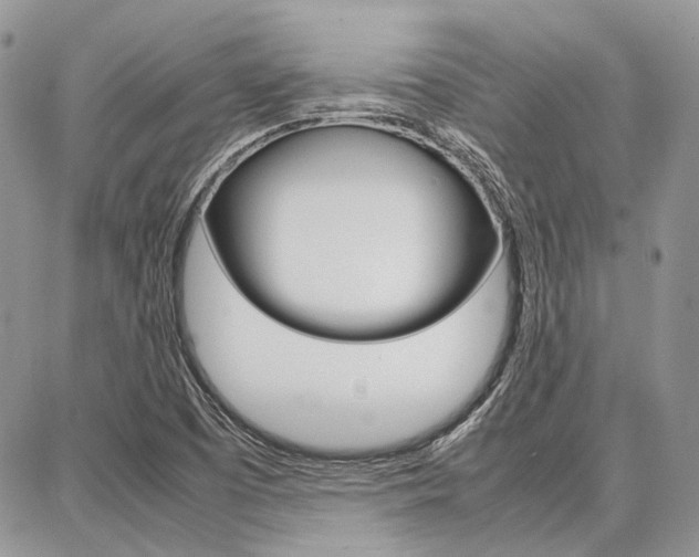 X0000087371457200704200805