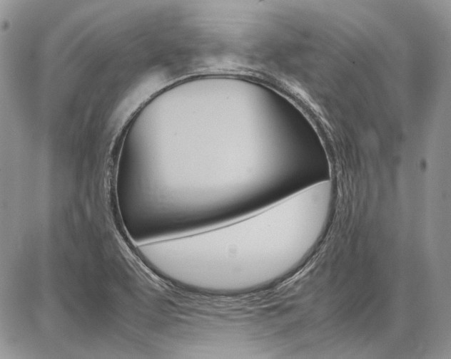 X0000087371463200704200805
