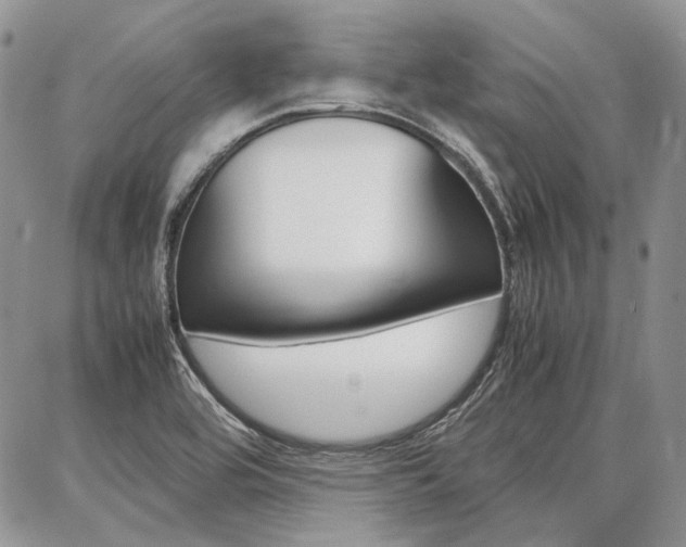 X0000087371464200704200805
