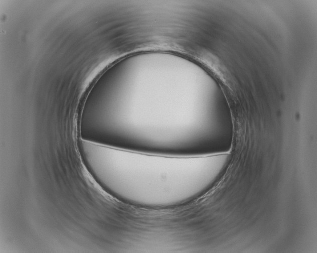 X0000087371468200704200805