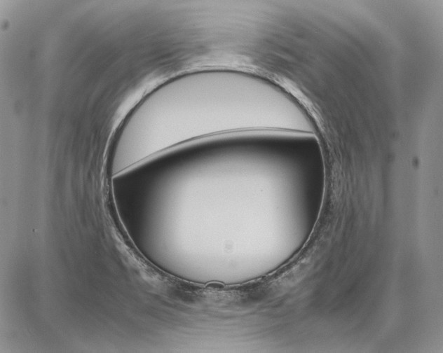 X0000087371469200704200805