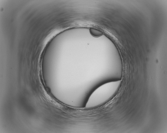 X0000087371471200704200805