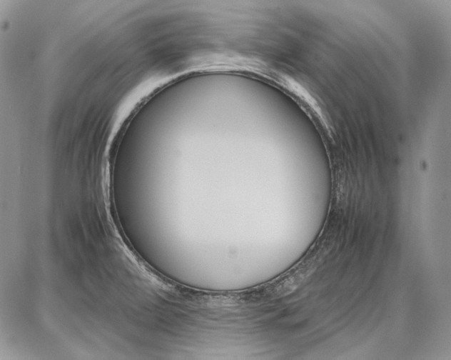 X0000087371472200704200805
