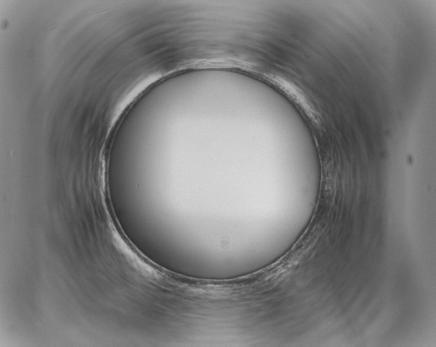 X0000087371476200704200805