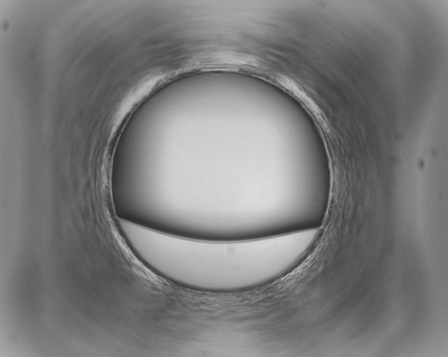 X0000087371477200704200805