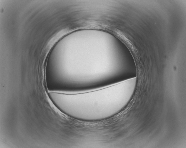 X0000087371479200704200805