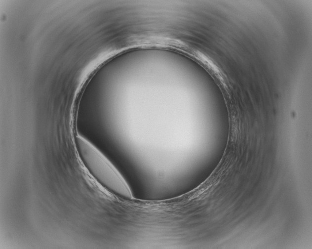 X0000087371480200704200805