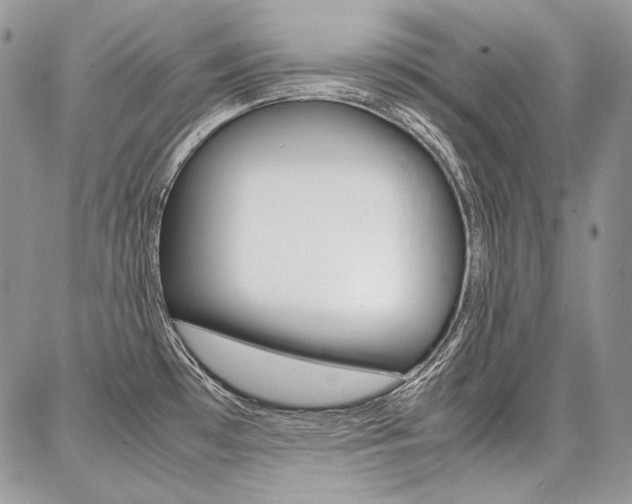 X0000087371481200704200805