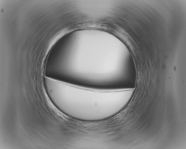 X0000087371483200704200805