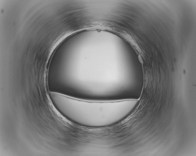 X0000087371484200704200805