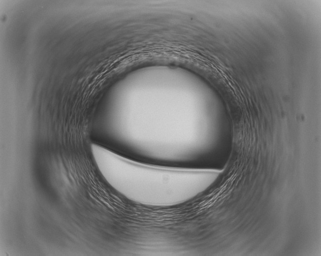 X0000087371490200704200804