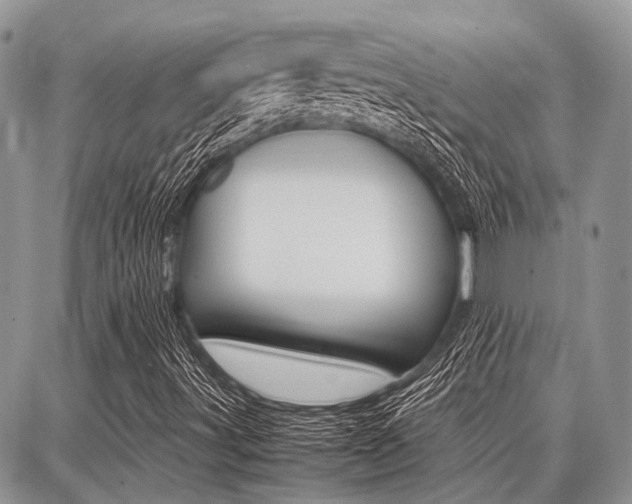 X0000087371491200704200804
