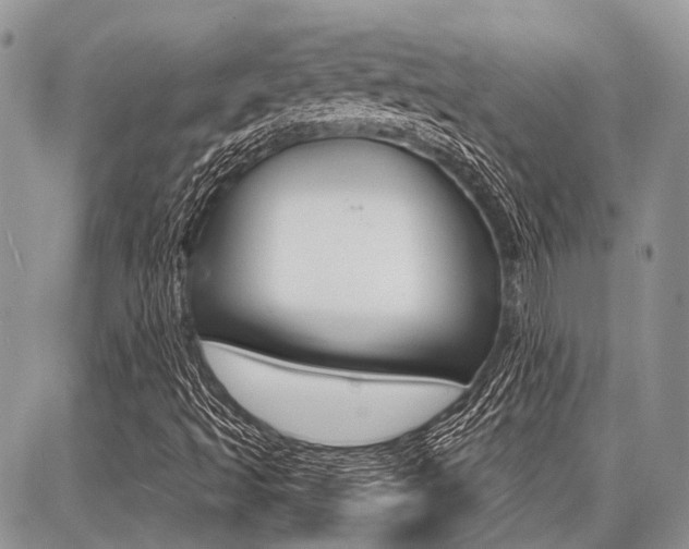 X0000087371493200704200804