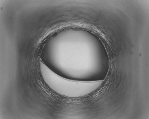 X0000087371496200704200804