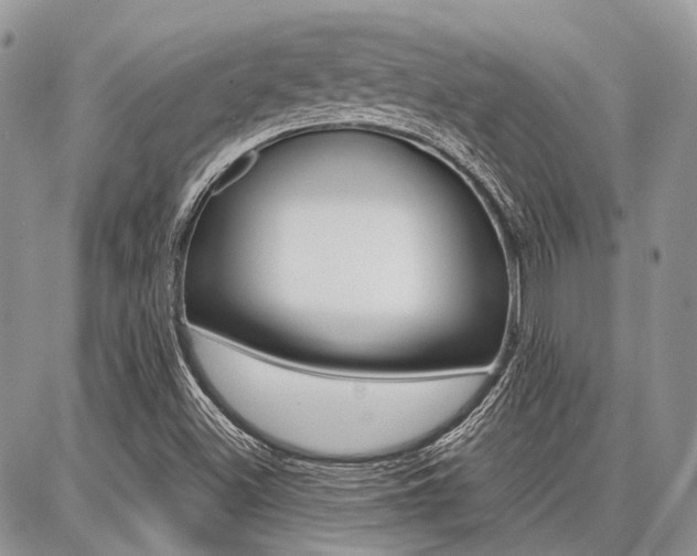 X0000087371500200704200804