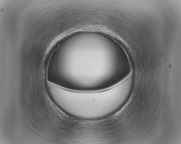 X0000087371506200704200804