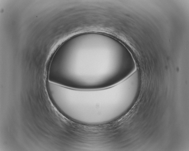 X0000087371508200704200804