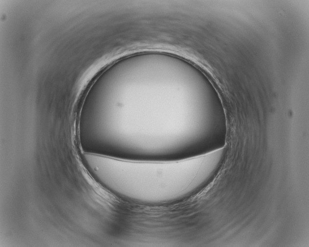 X0000087371511200704200805