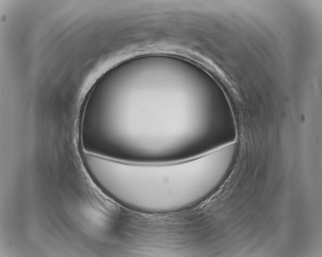 X0000087371512200704200805