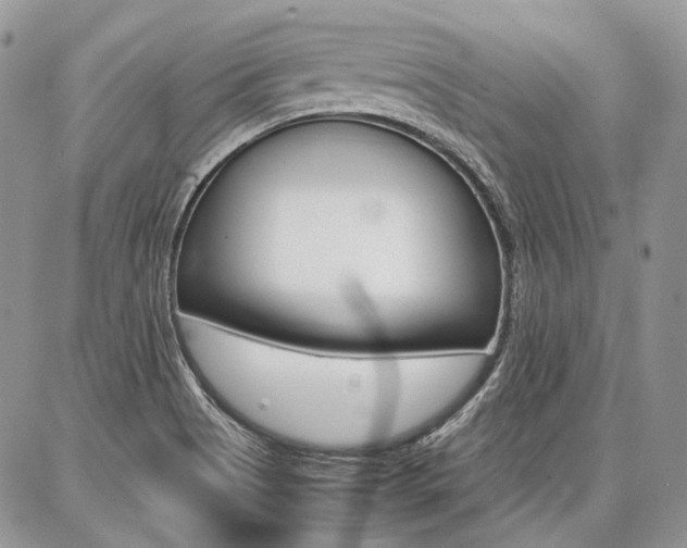 X0000087371513200704200805