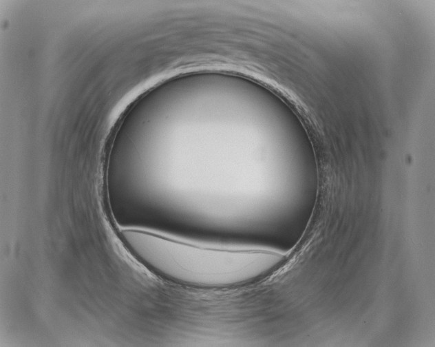 X0000087371518200704200805