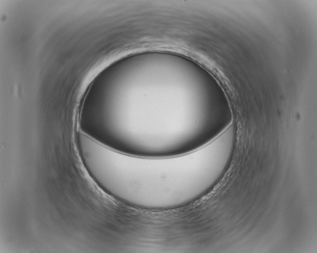 X0000087371520200704200805