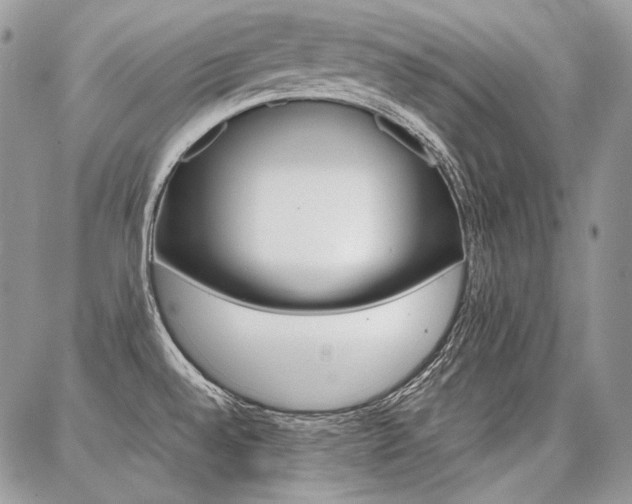 X0000087371528200704200805