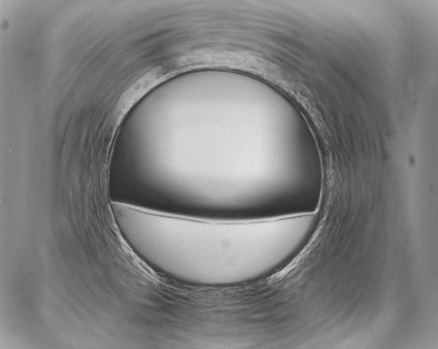 X0000087371529200704200805