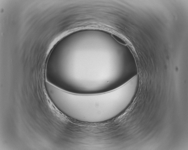 X0000087371530200704200805