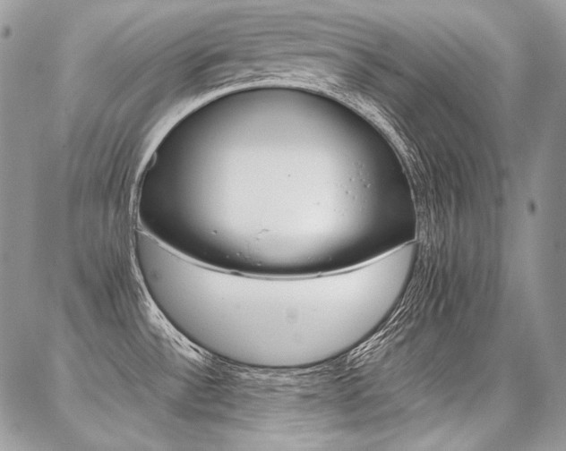 X0000087371532200704200805