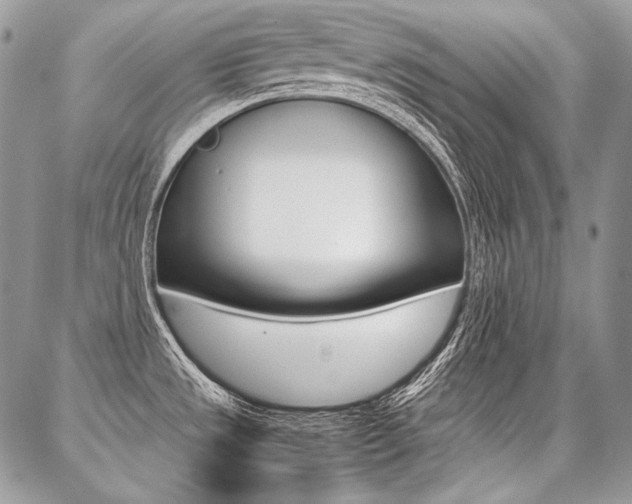 X0000087371533200704200805