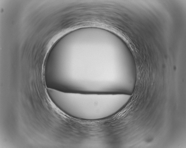 X0000087371535200704200805