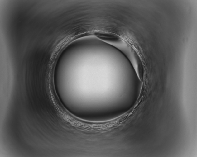 X0000087370001200704201236