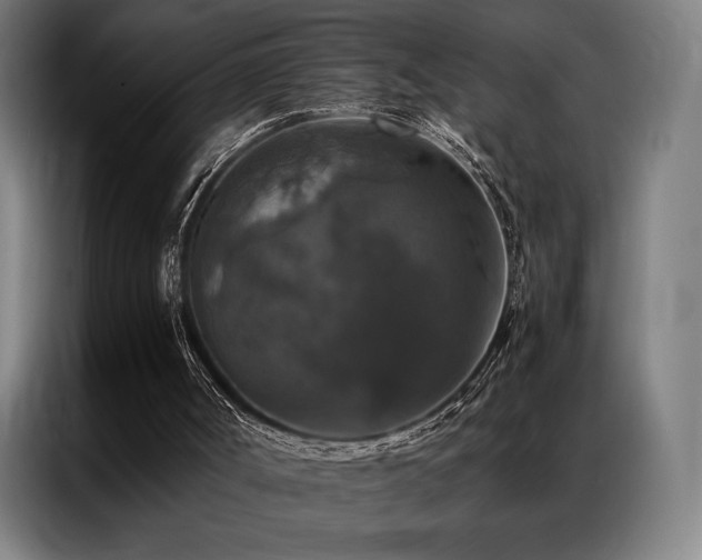 X0000087370002200704201236