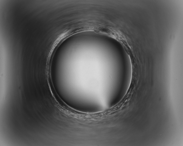 X0000087370003200704201236