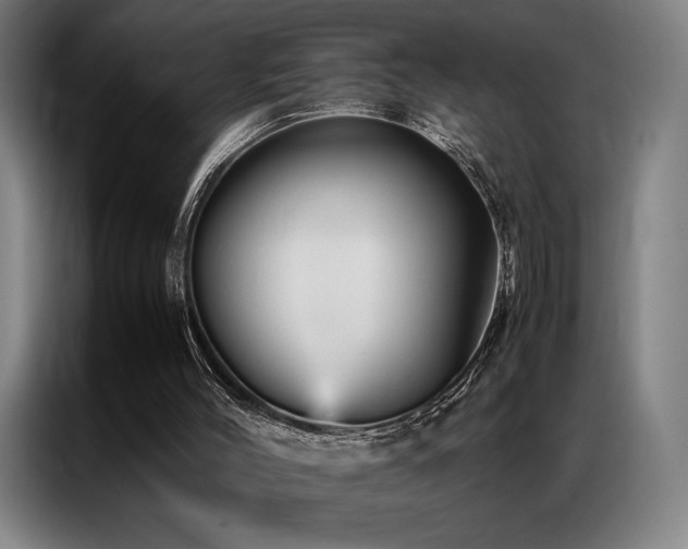 X0000087370004200704201236