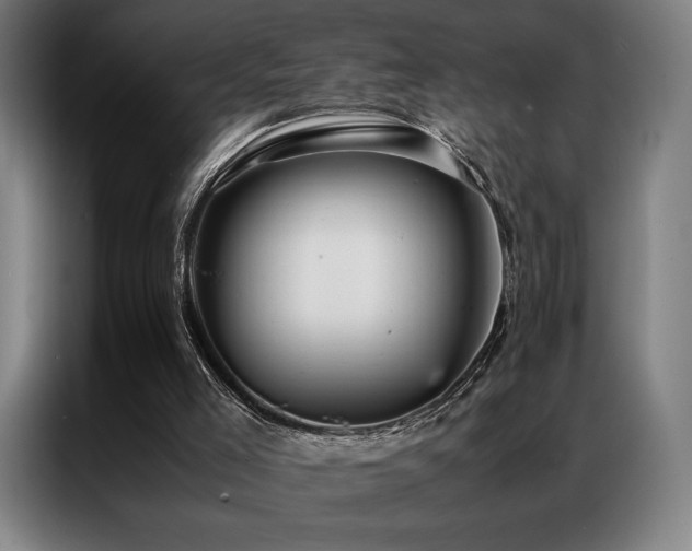 X0000087370005200704201236
