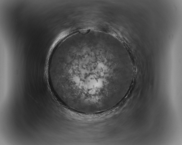 X0000087370006200704201236