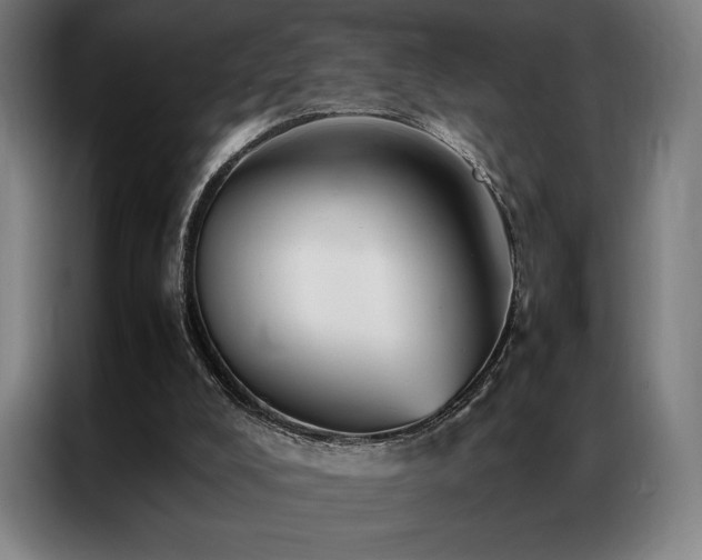 X0000087370008200704201236
