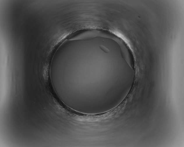 X0000087370009200704201236