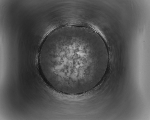 X0000087370010200704201236