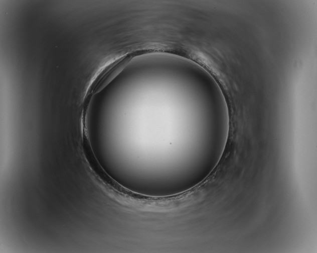 X0000087370011200704201236