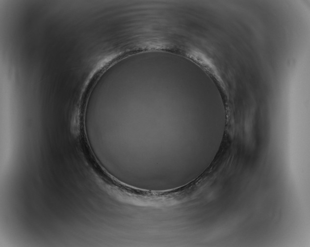 X0000087370012200704201236