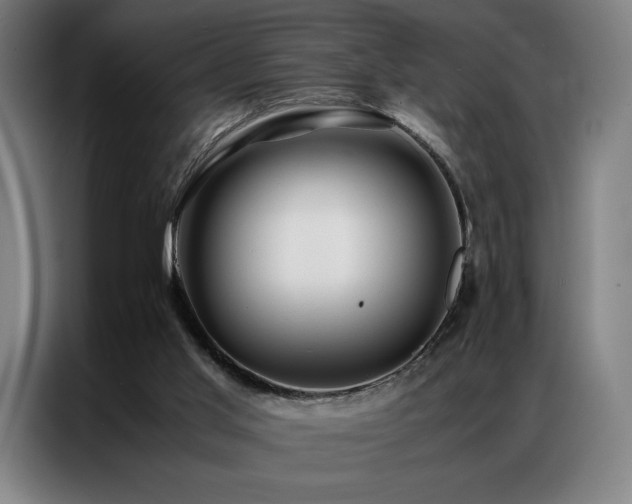 X0000087370013200704201236
